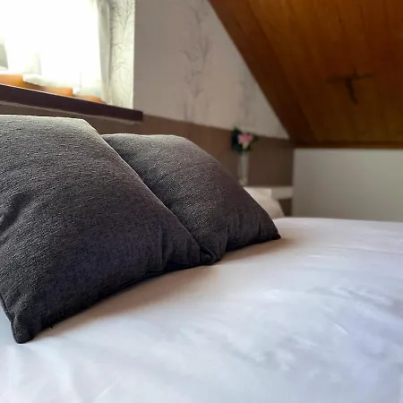 Hotel Avelina 2*