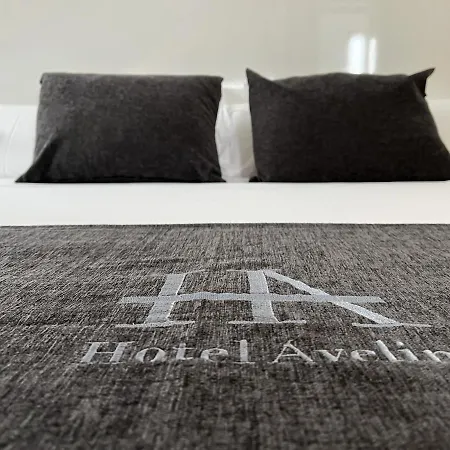 호텔 Avelina 2*
