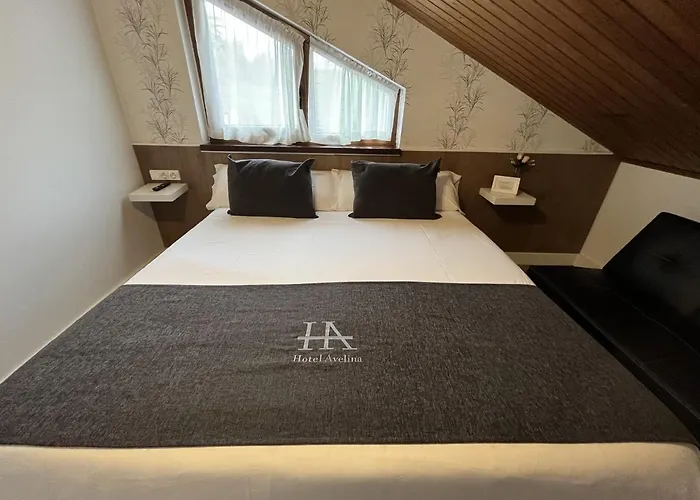 Avelina 2*
